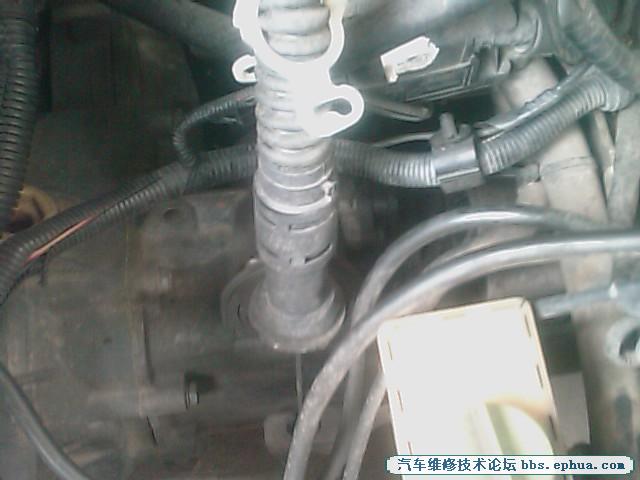 IMAG0070.jpg