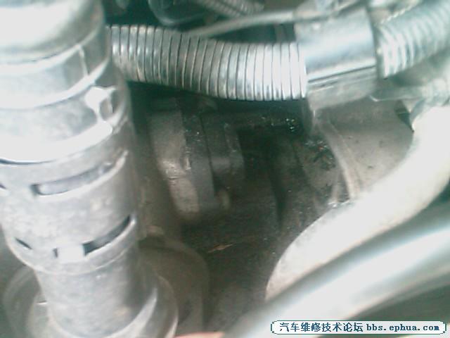 IMAG0069.jpg