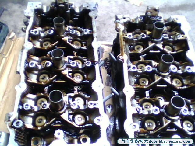 IMG0170A.jpg