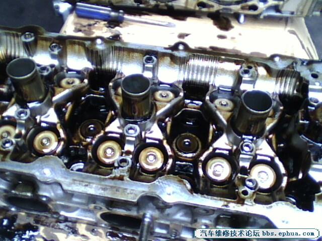 IMG0167A.jpg