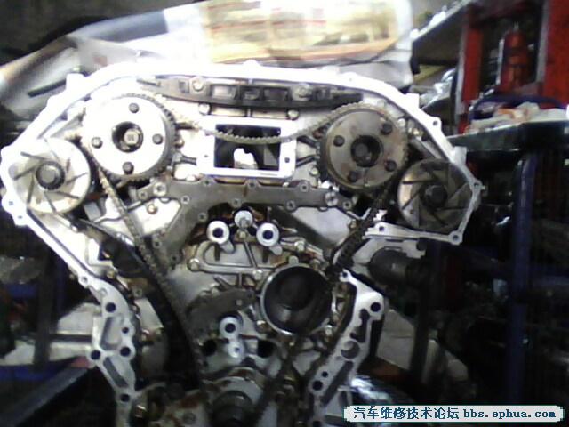 IMG0181A.jpg