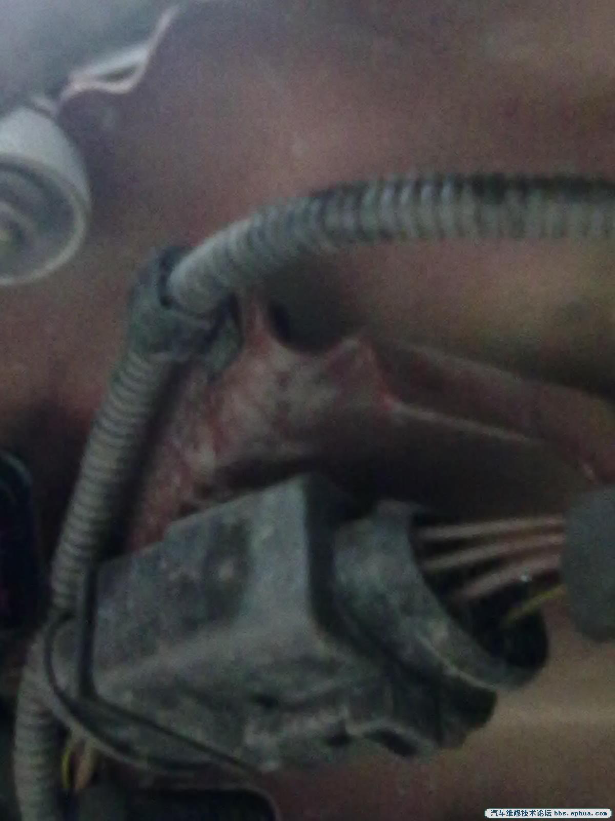 20111231556.jpg