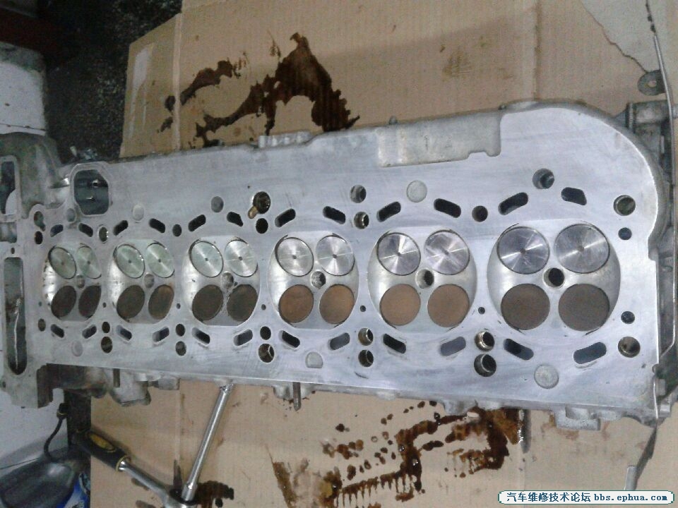image_1.jpg