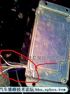 20120221_000___.jpg