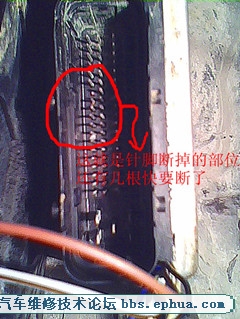 20120221_002___.jpg