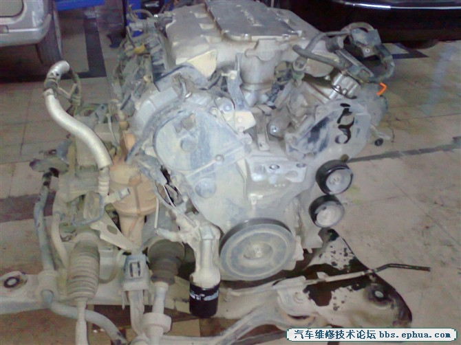 psbCAML55HU.jpg