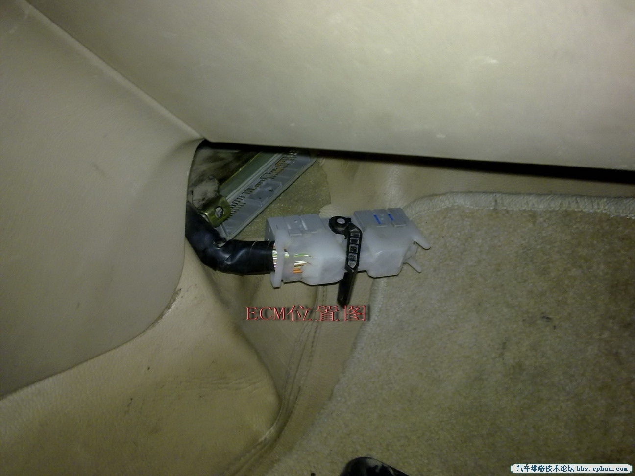 20120421747.jpg