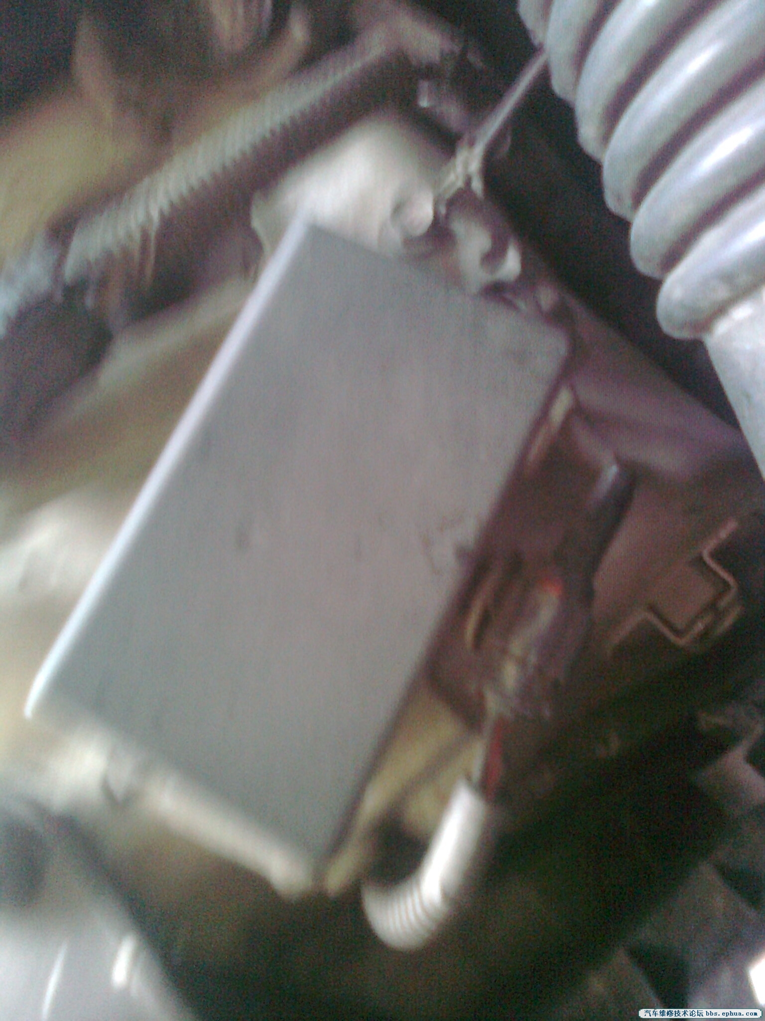 Ƭ0425.jpg