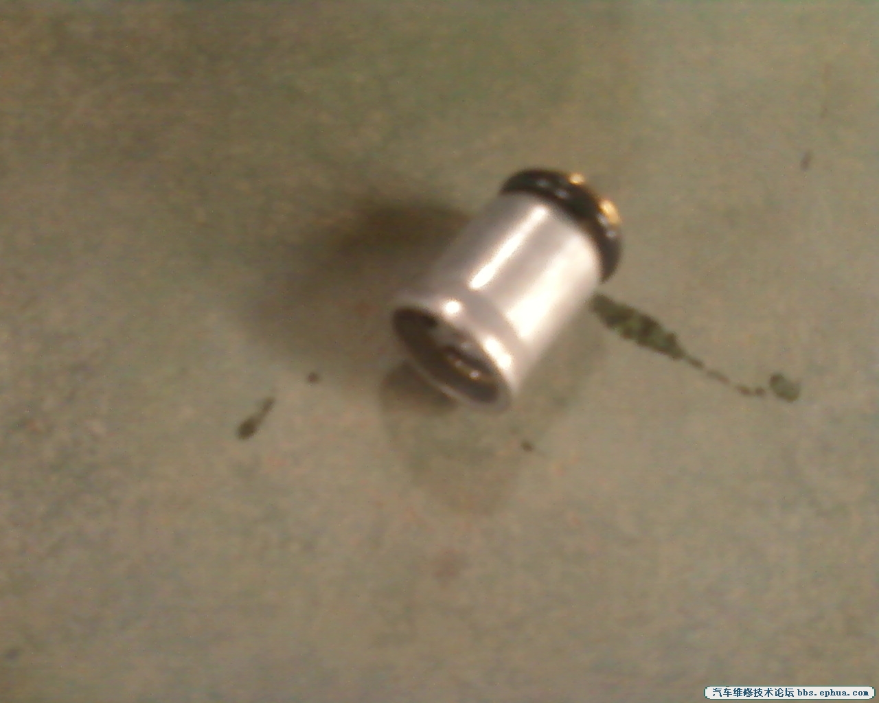 Ƭ-0020.jpg