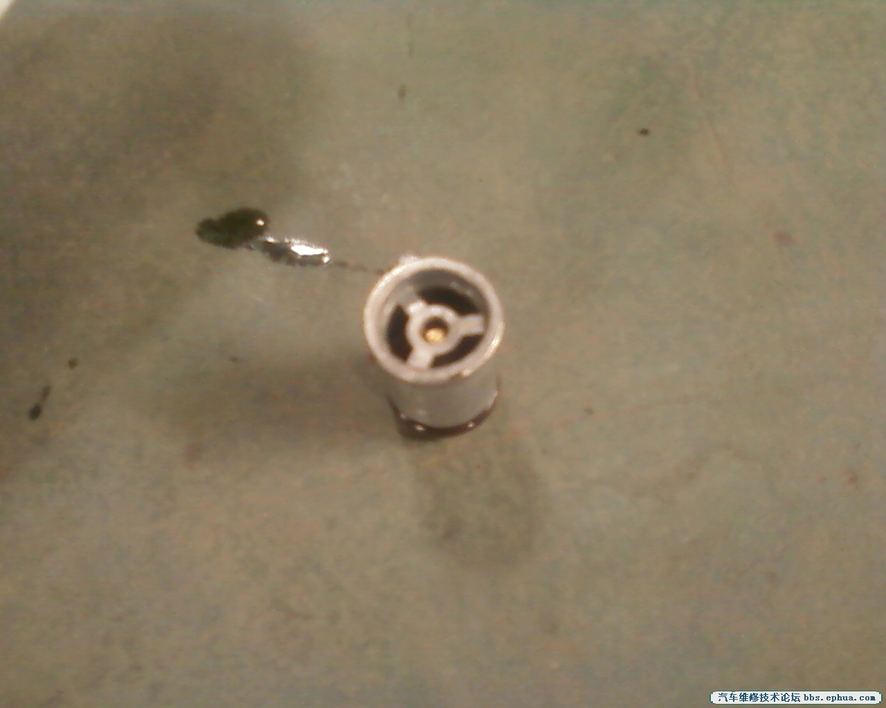 Ƭ-0022.jpg