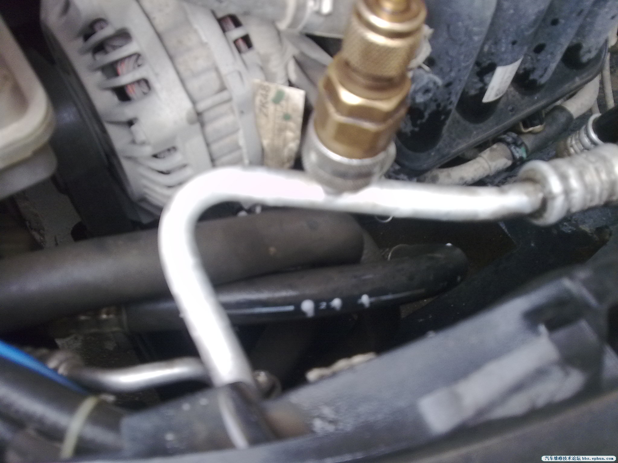 20120606236.jpg