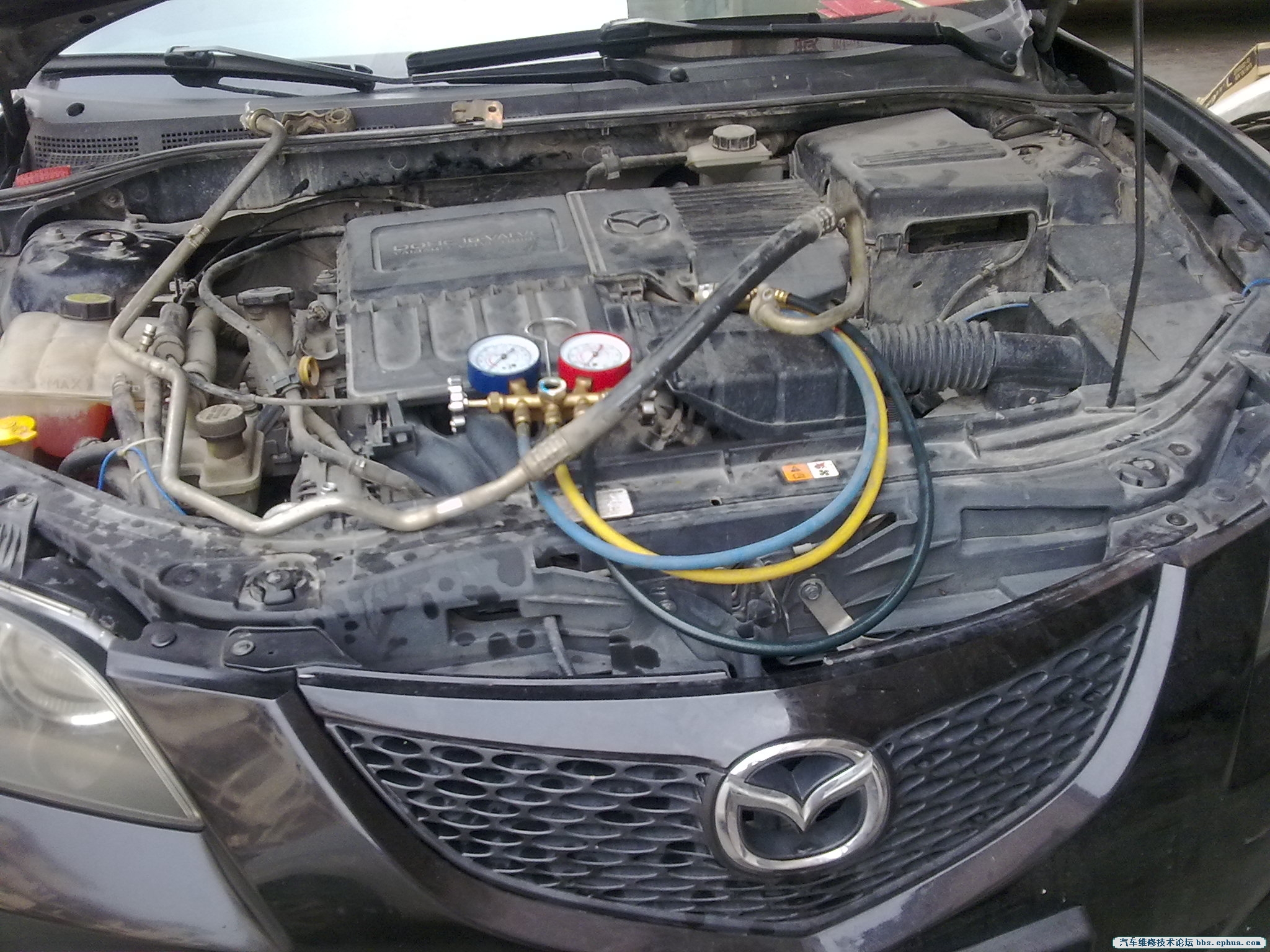 20120606238.jpg