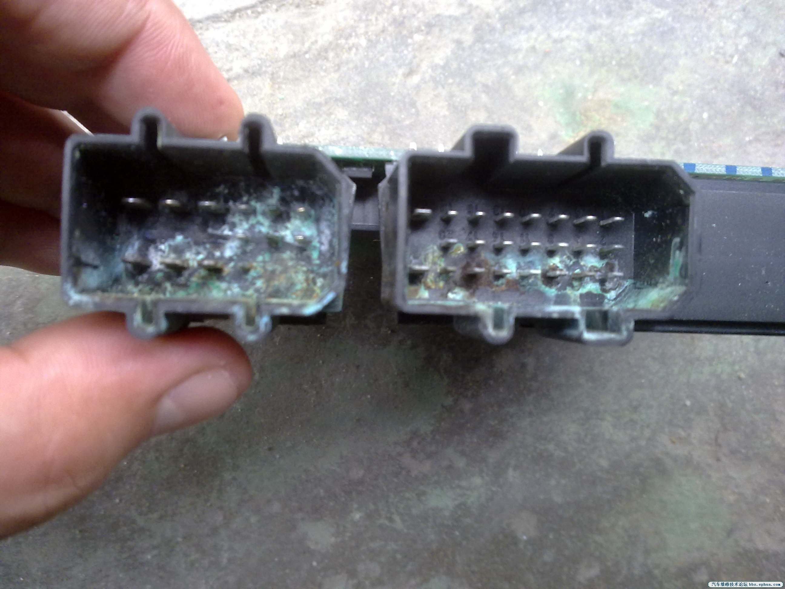 20120612812.jpg