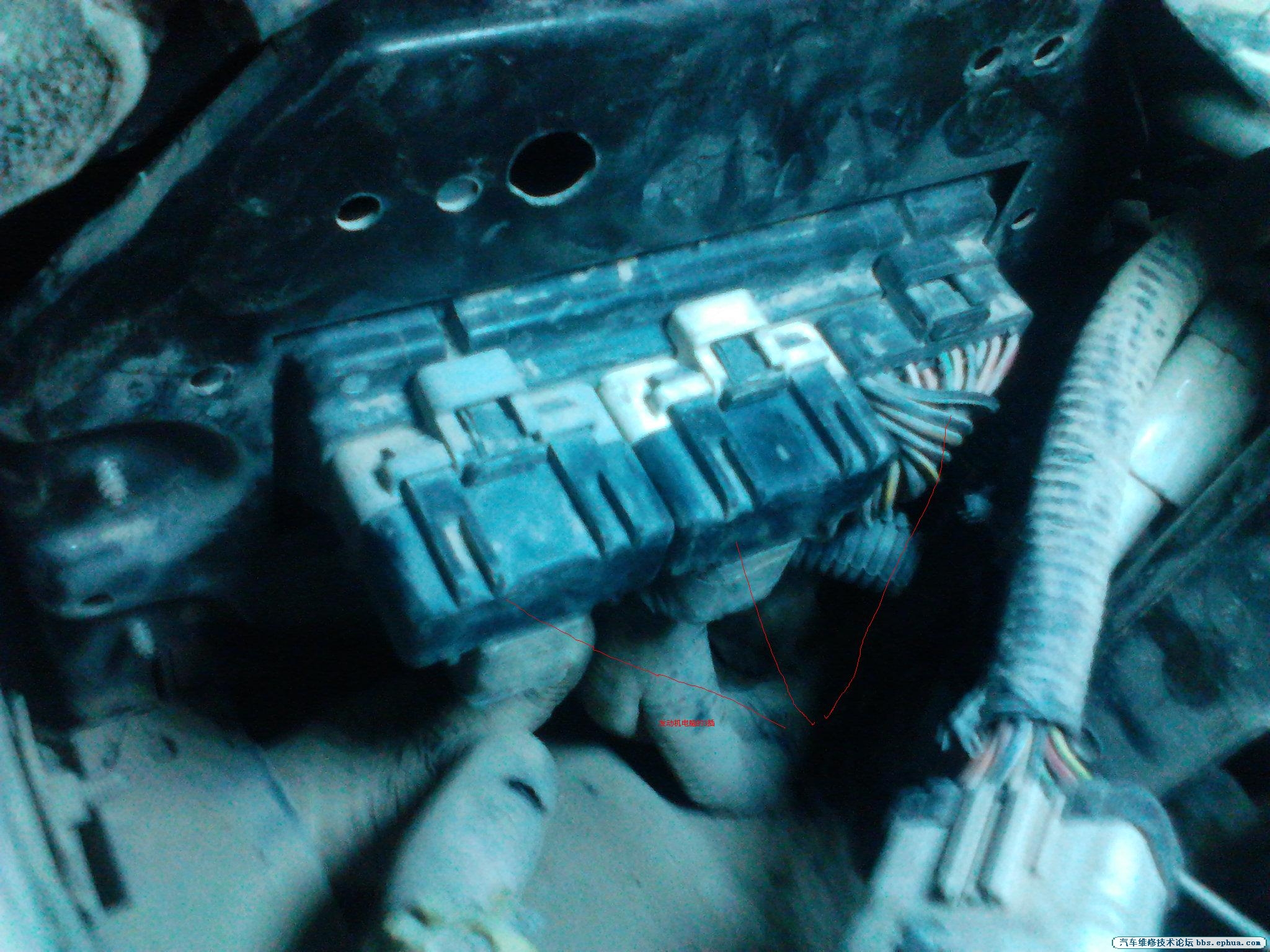 Camera_20120729_203903.jpg