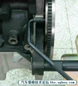p02 (1).jpg