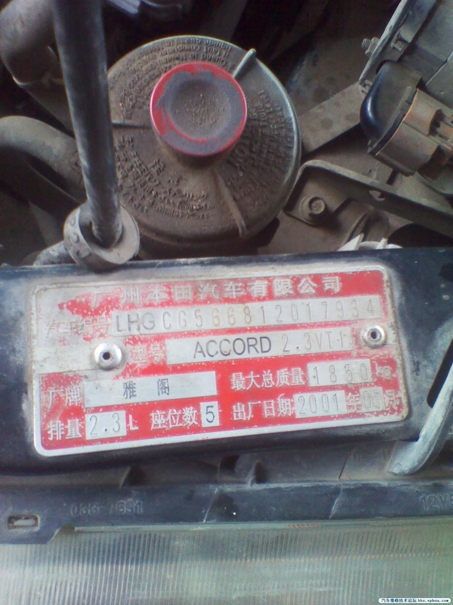 IMG_20120719_103556.jpg