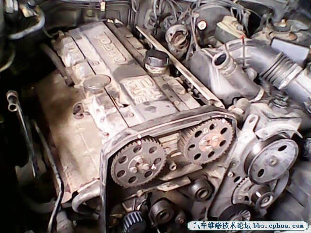 IMG00016.jpg