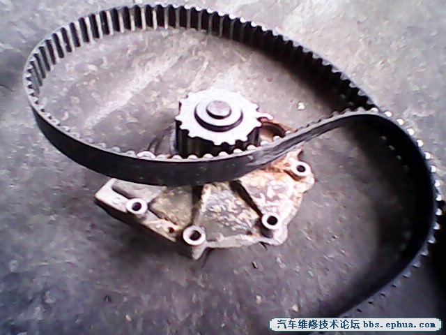 IMG00020.jpg