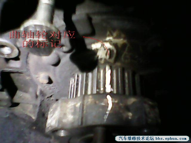 IMG00014.jpg