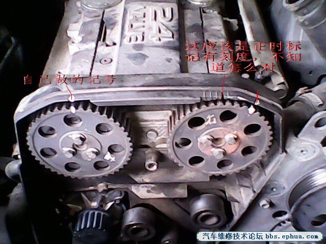 IMG00013.jpg