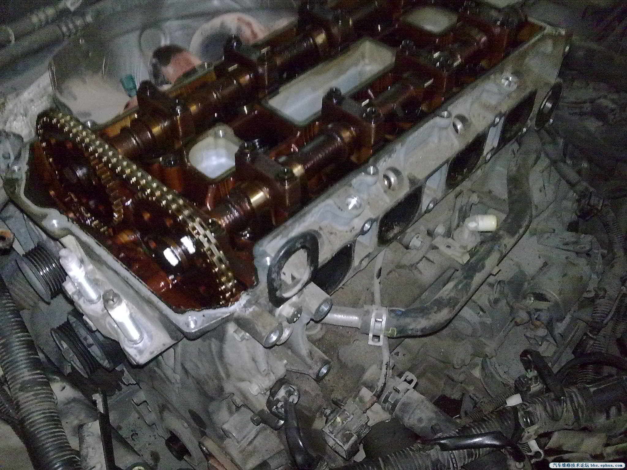20120805364.jpg