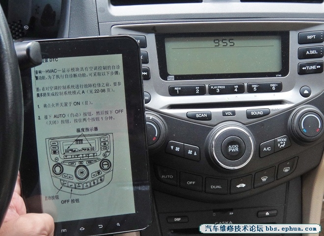 DSC09117.jpg