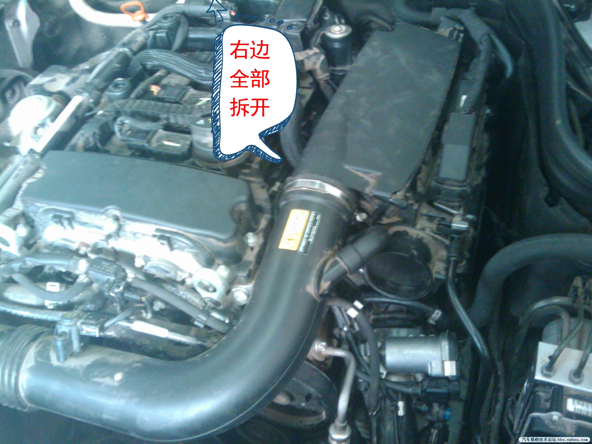 IMG_20081111_194832_.jpg