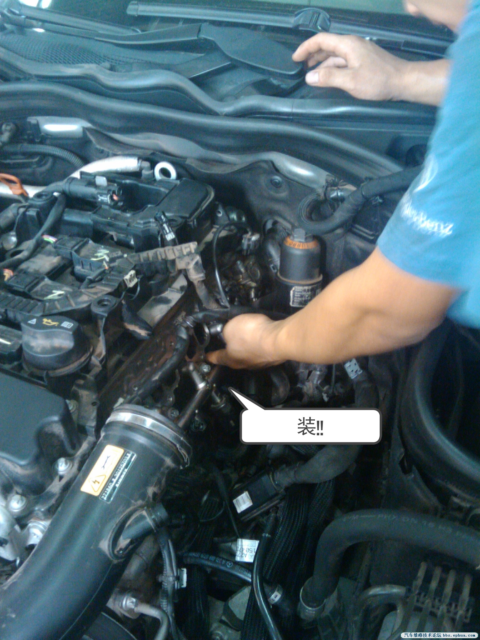 IMG_20081111_184318_.jpg