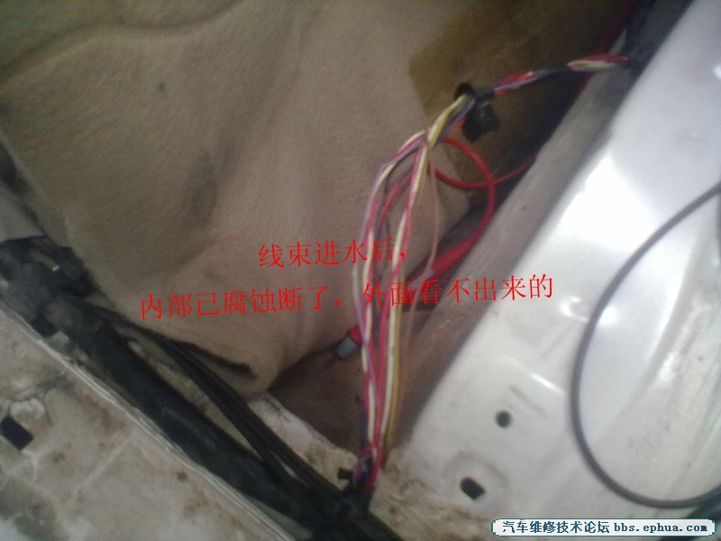 20120826773_.jpg