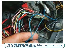 201210318305920626.jpg