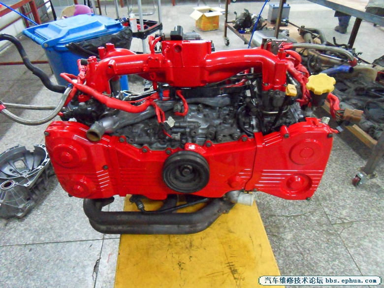SDC10005_.jpg