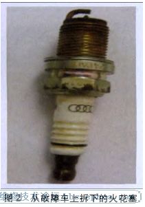 201211169515832215.jpg