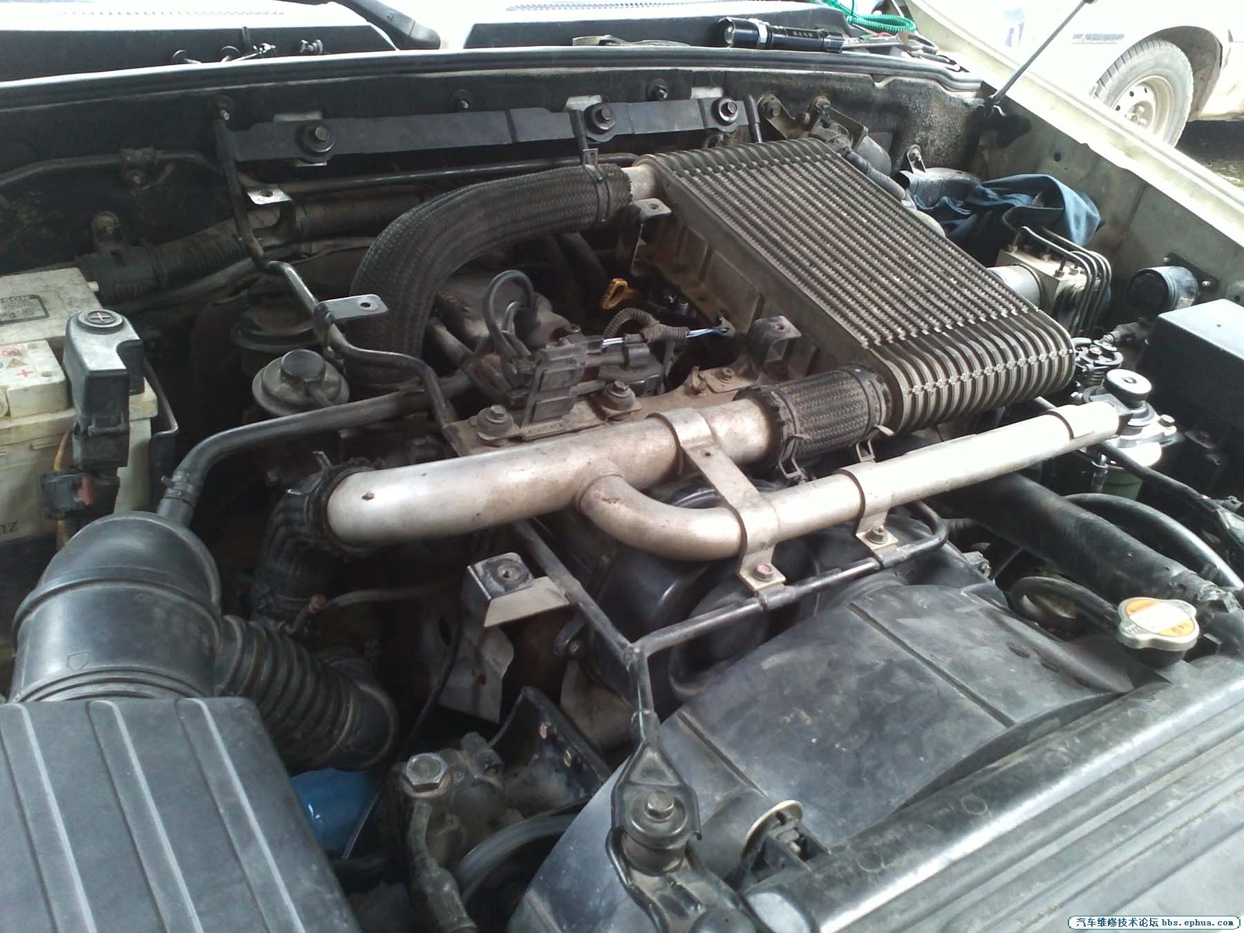 IMG191.jpg