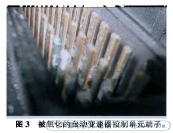 2012121810332132509.jpg