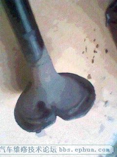 IMG00047.jpg