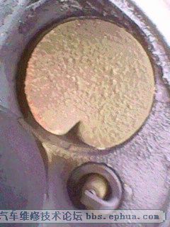 IMG00046.jpg