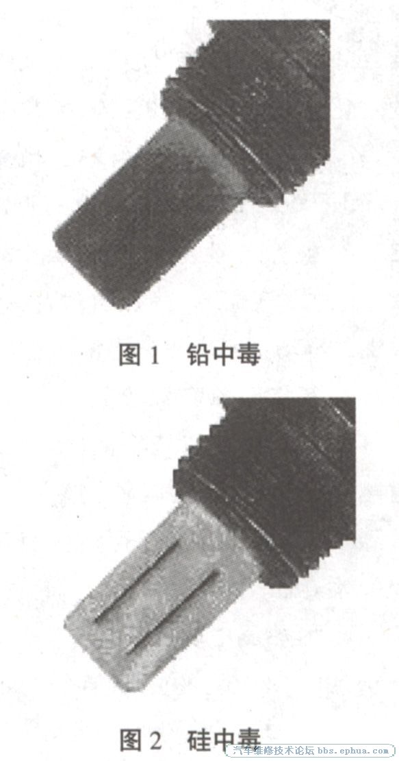 20131137233568900.jpg