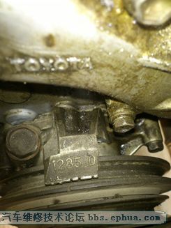 DSC_0087.JPG