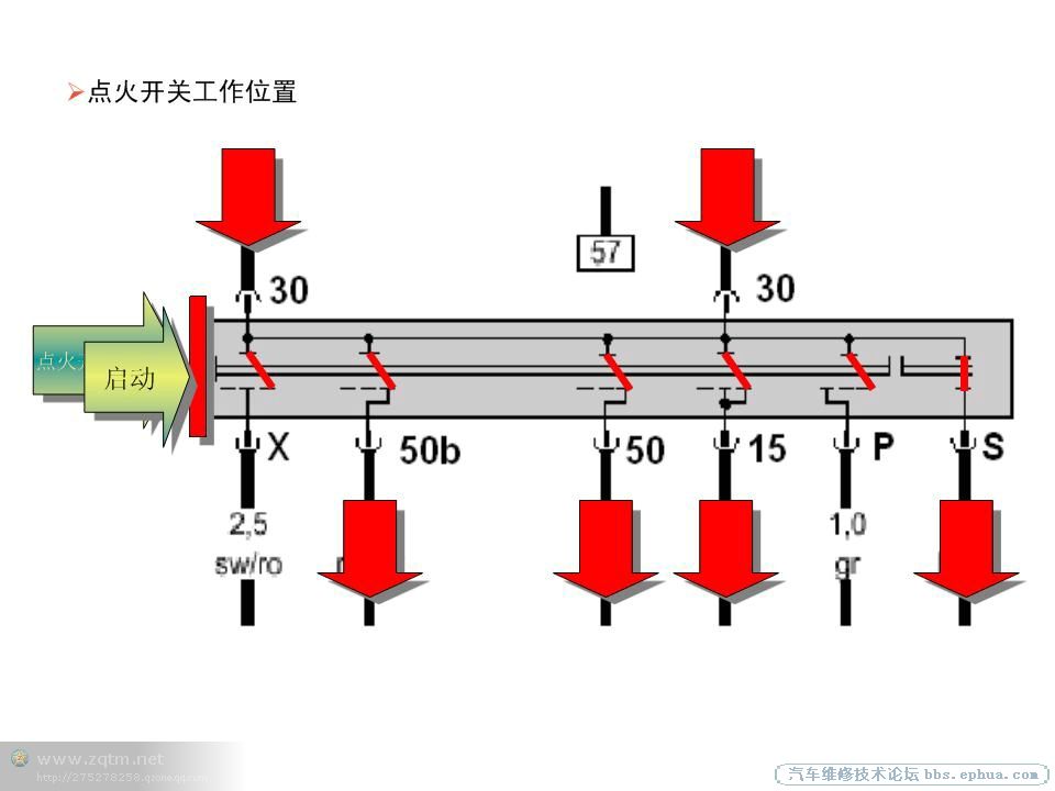 psb (20).jpg