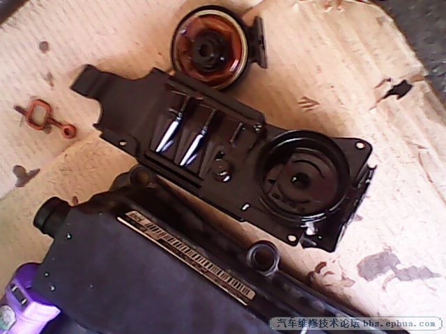IMG00139.jpg