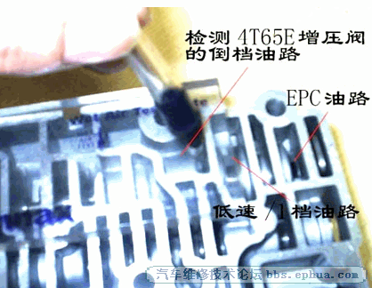 0 (6).png