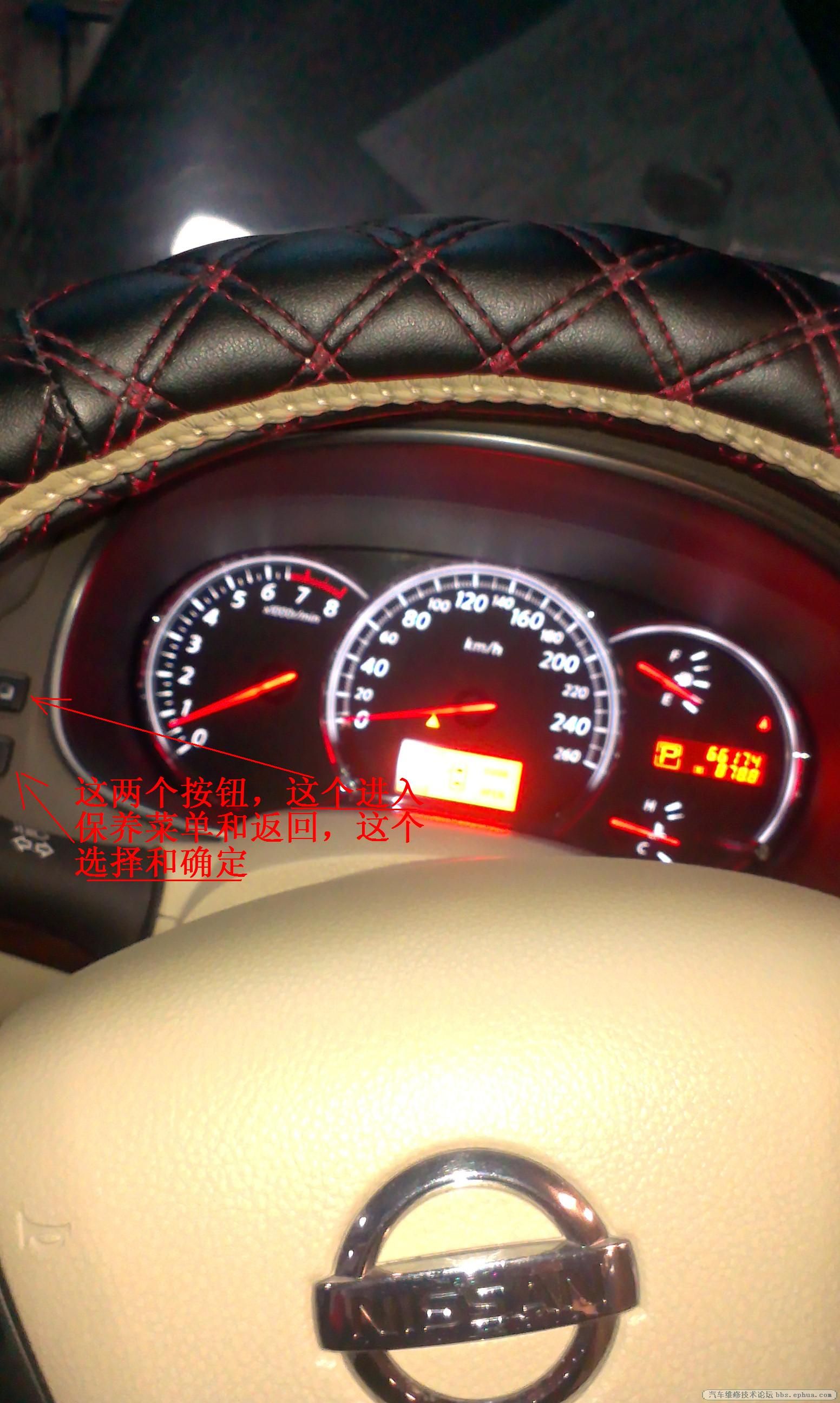 IMAG0700.jpg