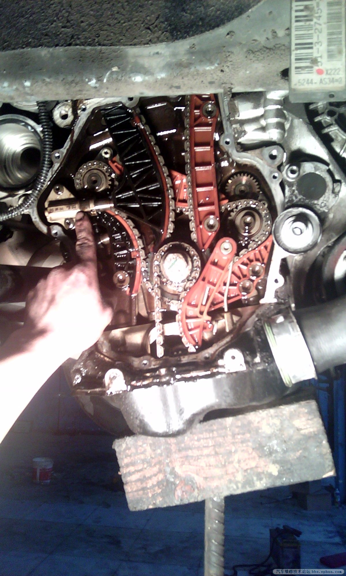 IMG_20130405_174619.jpg