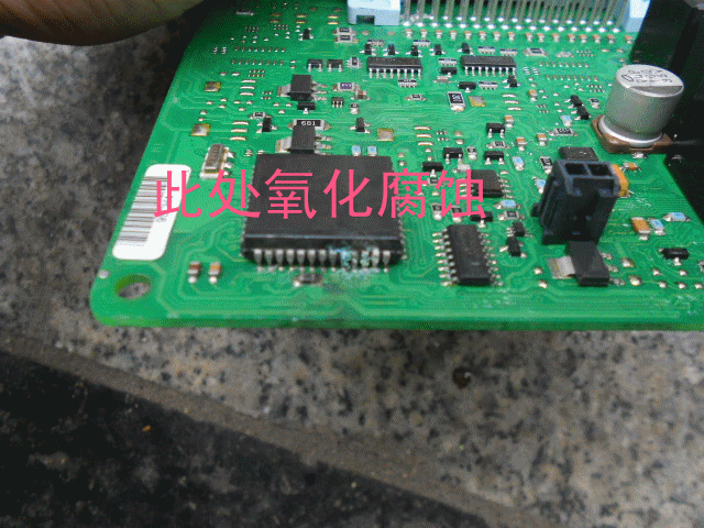 DSCN1073[1]_.gif