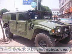 ALIM0425.JPG