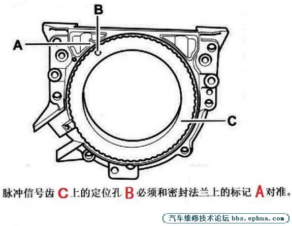 poloᴫʱô.jpg