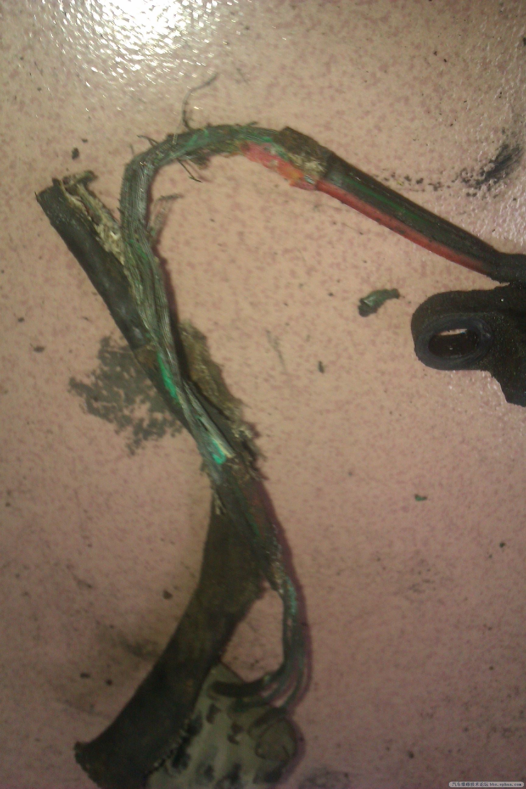 IMAG0211.jpg