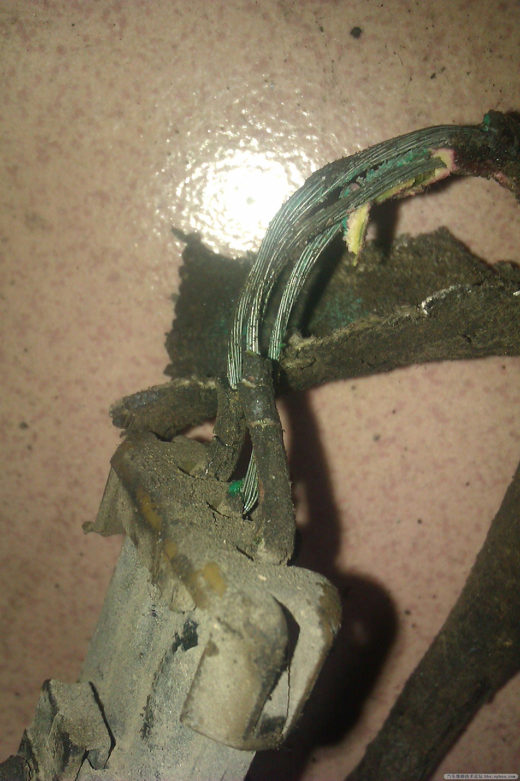 IMAG0208.jpg