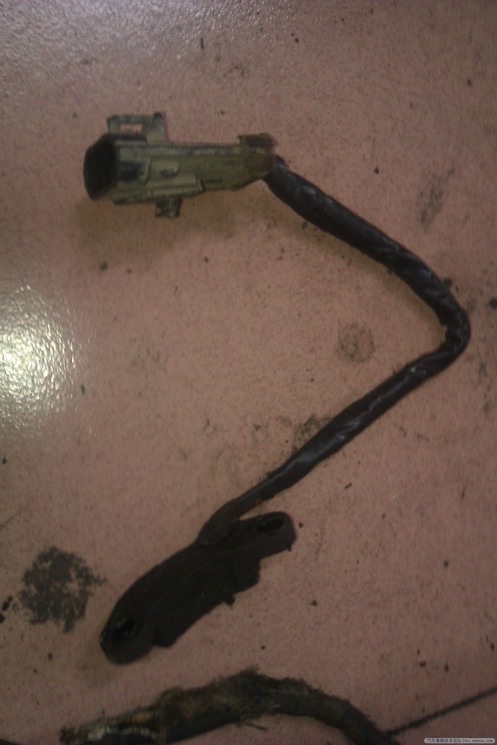IMAG0212.jpg
