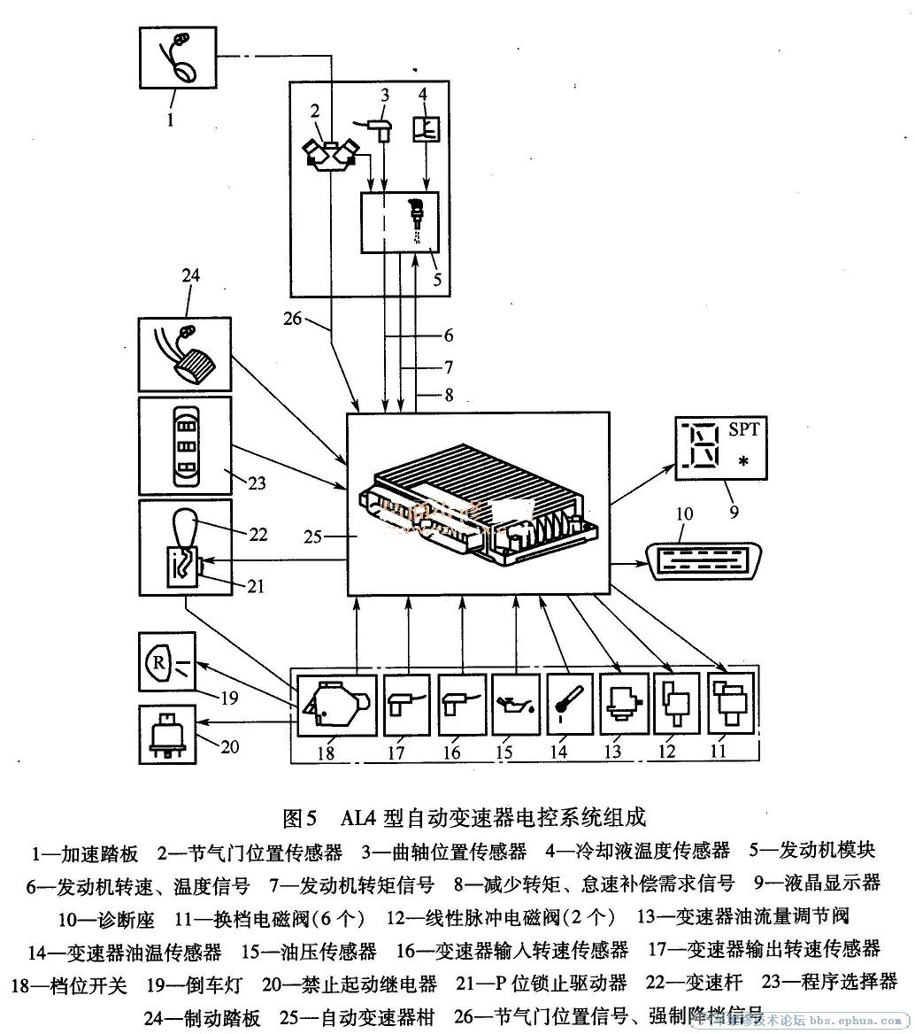 201312198561199161.jpg